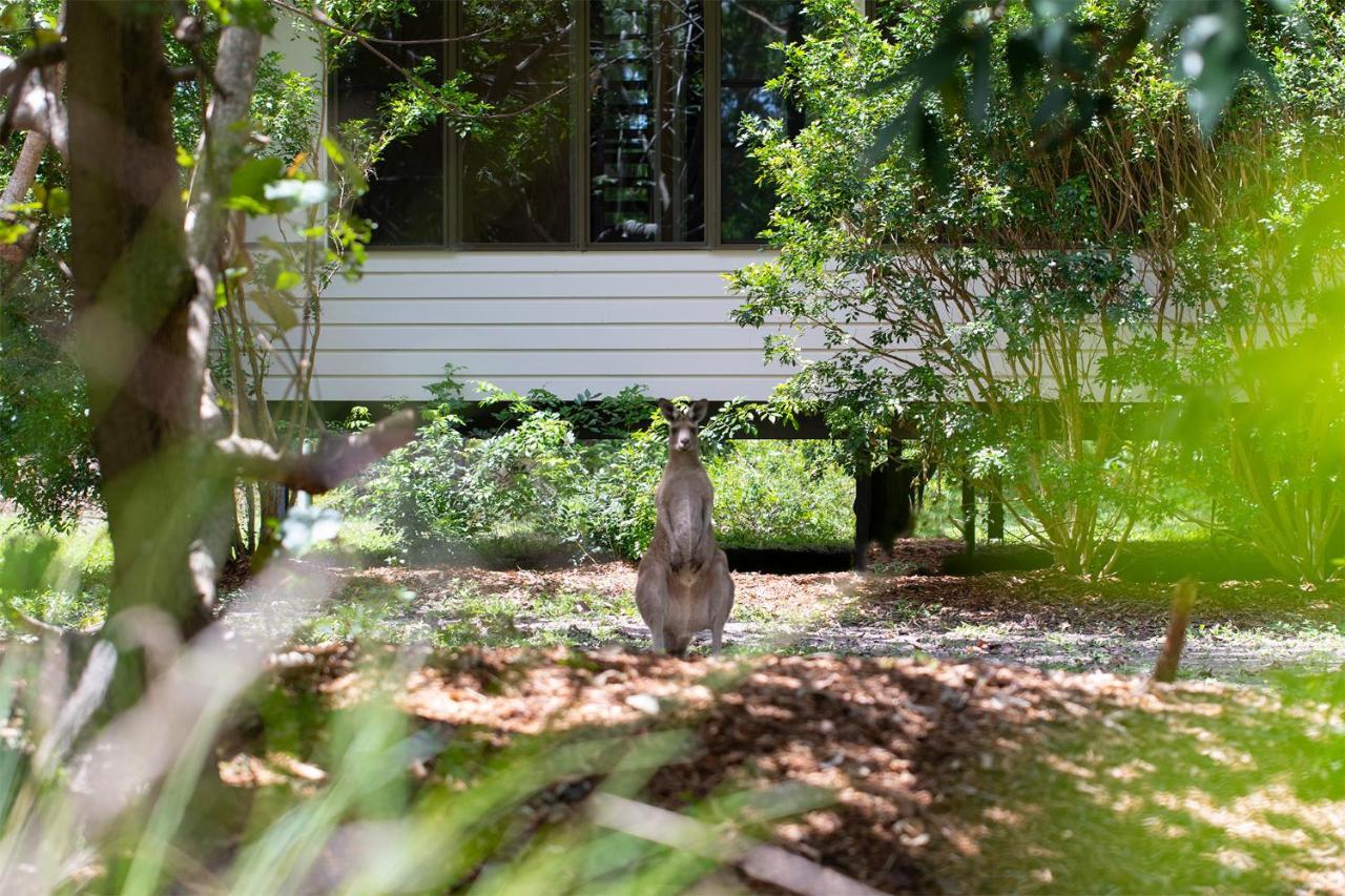 Eumarella Shores Noosa Lake Retreat Noosaville Exterior photo